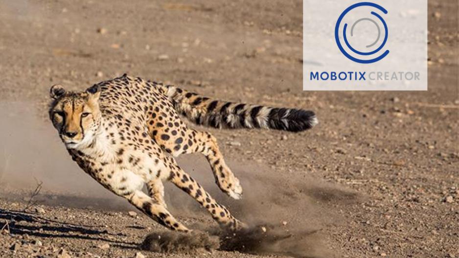 MOBOTIX Creator Gepard