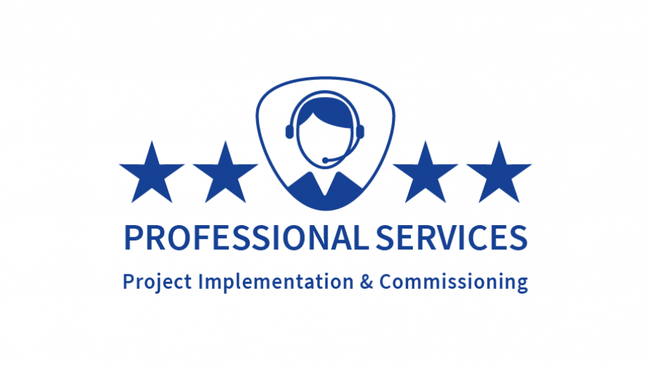mx_img_ProfessionalServices_project-implementation-Logo_930x550