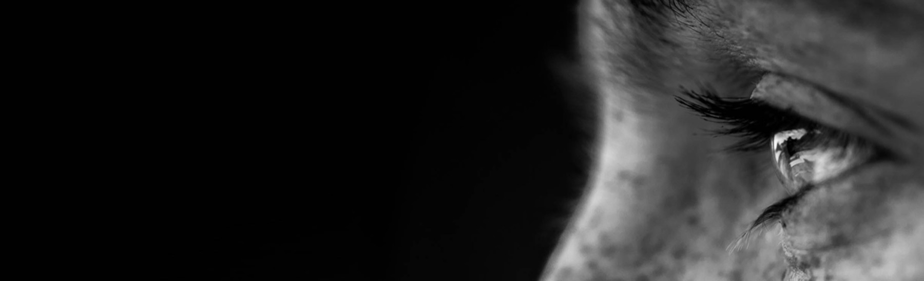 Irisity Irisity