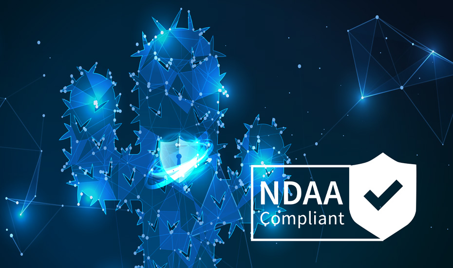 NDAA 