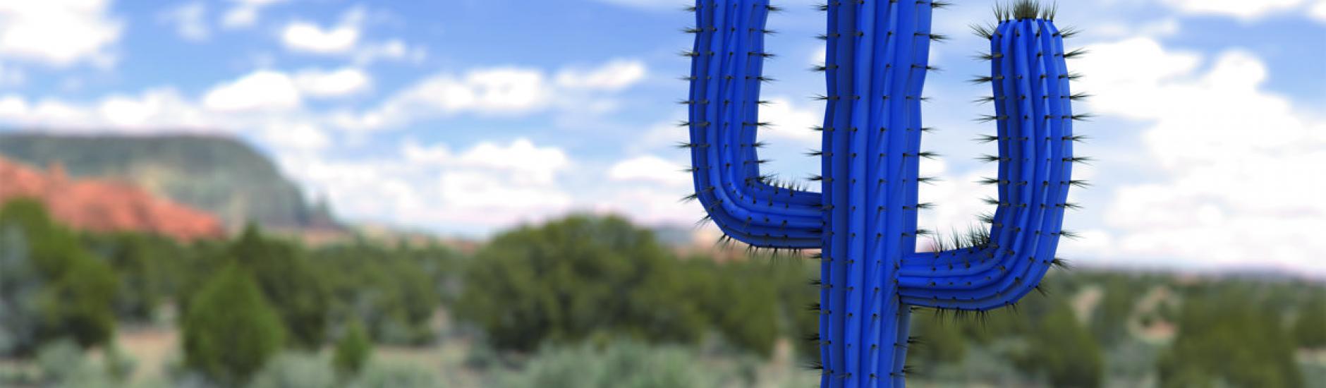 Cactus Concept