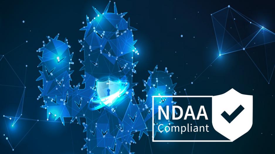 NDAA 