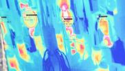 Thermal Image